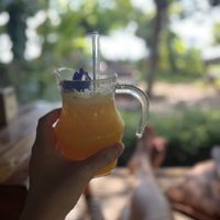   at Pure Vegan Heaven - Thong Sala in Koh Phangan