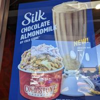 Almond milk ice cream at Cold Stone Creamery in Phoenix