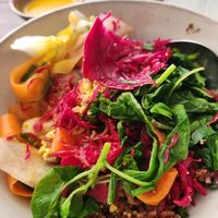  at The Little Red Fox Espresso in Siem Reap