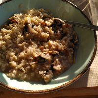 Mushroom risotto at Mouria 1923 in Kymi