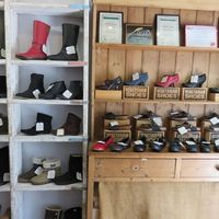 Vegetarian shoes
 at Vegetarian Shoes in Brighton