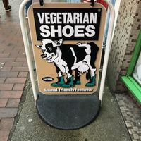 So happy to finally be here!! at Vegetarian Shoes in Brighton