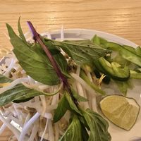  at Vietopia in Harrisonburg