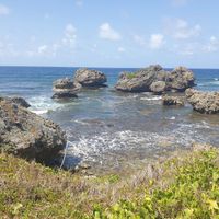 View Across the sea from the path down through the valley at ECO Lifestyle & Lodge in Bathsheba