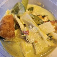 Vegan green curry with tofu at Thai Carrot in Aberdeen