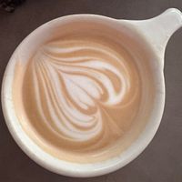   at Subculture Coffee Roasters in West Palm Beach