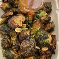   at The Rogue Panda in Brooklyn