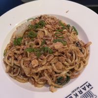   at The Rogue Panda in Brooklyn