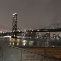 Beautiful view   at The Rogue Panda in Brooklyn