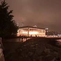 Carrousel  at The Rogue Panda in Brooklyn