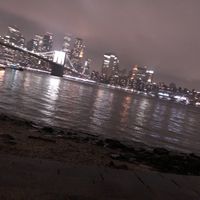 Brooklyn park   at The Rogue Panda in Brooklyn