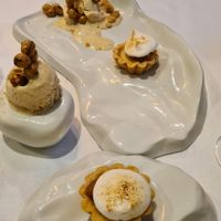 Nocciola-chan at Konijnenvoer in Arnhem