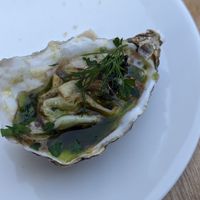 Oyster mushrooms at Konijnenvoer in Arnhem