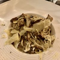 Funghi pasta with truffle  at Konijnenvoer in Arnhem