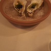  at Konijnenvoer in Arnhem