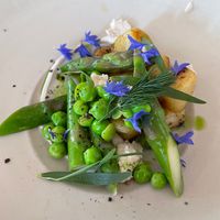  at Konijnenvoer in Arnhem