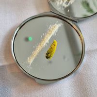  at Konijnenvoer in Arnhem