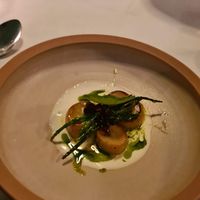  at Konijnenvoer in Arnhem