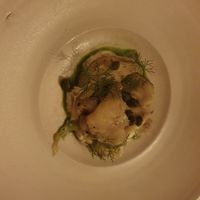  at Konijnenvoer in Arnhem