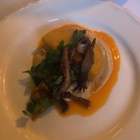   at Konijnenvoer in Arnhem