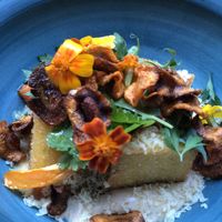 Polenta  at Konijnenvoer in Arnhem