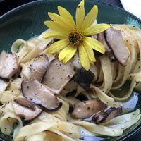 Mushrooms tagliatelle   at Konijnenvoer in Arnhem