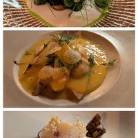 First 3 courses at Konijnenvoer in Arnhem