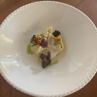   at Konijnenvoer in Arnhem