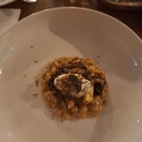  at Konijnenvoer in Arnhem