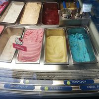 Kennzeichnung der veganen Sorten at Eis Molin in Bremen