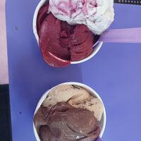 Vegan choices 4 , all different good at Ice Cream Social in White Plains