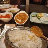 Rice with paneer gravy 🥵 at Namaste Haeundae in Busan