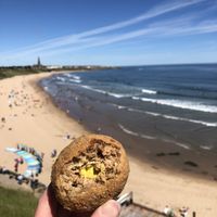 Scotch egg  at Grain & Goodness in Tynemouth