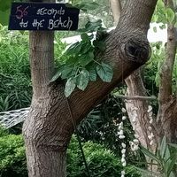  at Maki Inn in Cirali