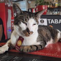  at RedBus.LV in Jurmala