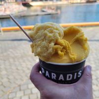 Sorbets at Paradis Gelateria in Oslo
