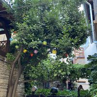 Outside seating   at Kamene Price in Bale