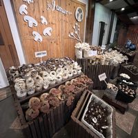 Lovely mushroom display in the entrance  at Jejamuran in Yogyakarta