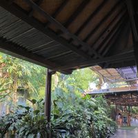   at Jejamuran in Yogyakarta