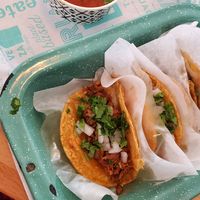 Yummm at Tacotarian in San Diego