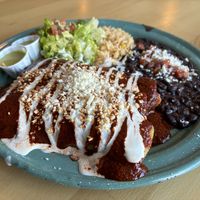 Gardein chicken enchiladas platterr  at Tacotarian in San Diego