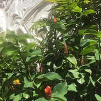  at Plant Based Paradise - Kaimuki in Honolulu