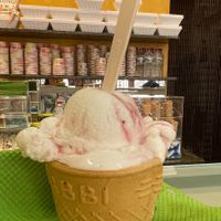 Generous scoop (one)  at Brina in Barcelona