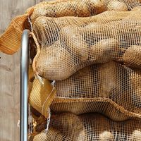 Verse aardappelen   at Friethuys Oer in Nijmegen