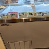 Cold case at Jeni's Ice Creams in Durham
