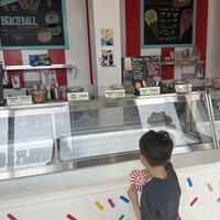 My son looking at the non vegan cones  at Coney Waffle in Brooklyn