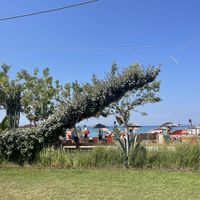 They also serve food to the beach chairs  at Los Hermanos in Chaniotis