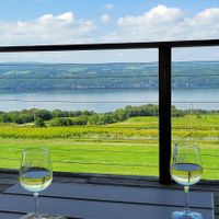 Beautiful view at Atwater Vineyards in Burdett