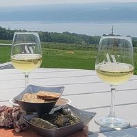 Cheese plate, view and gruner veltliner at Atwater Vineyards in Burdett