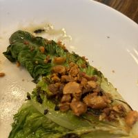   at Tempus in Katoomba